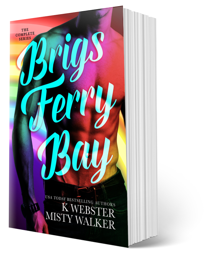 Brigs Ferry Bay Omnibus