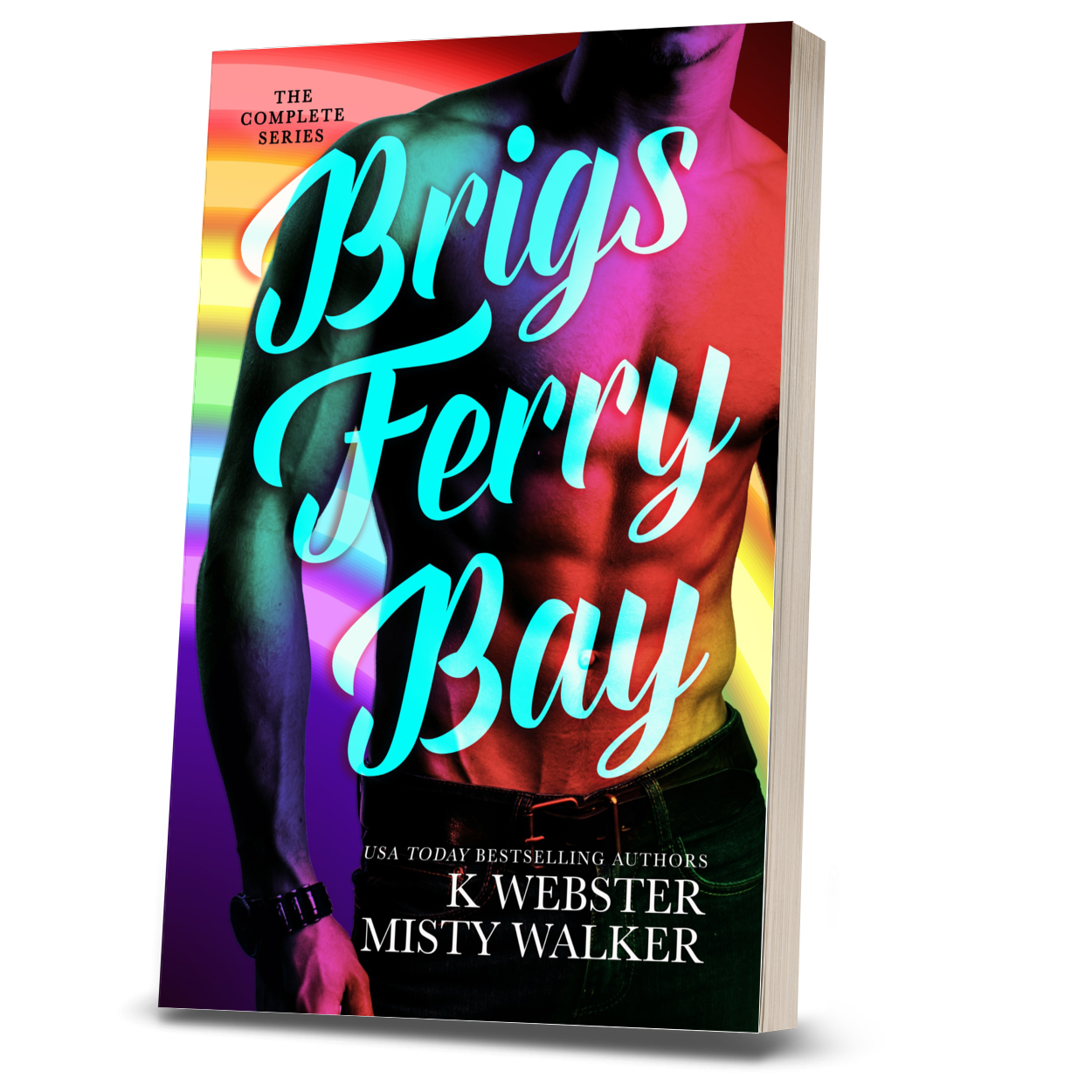 Brigs Ferry Bay Omnibus