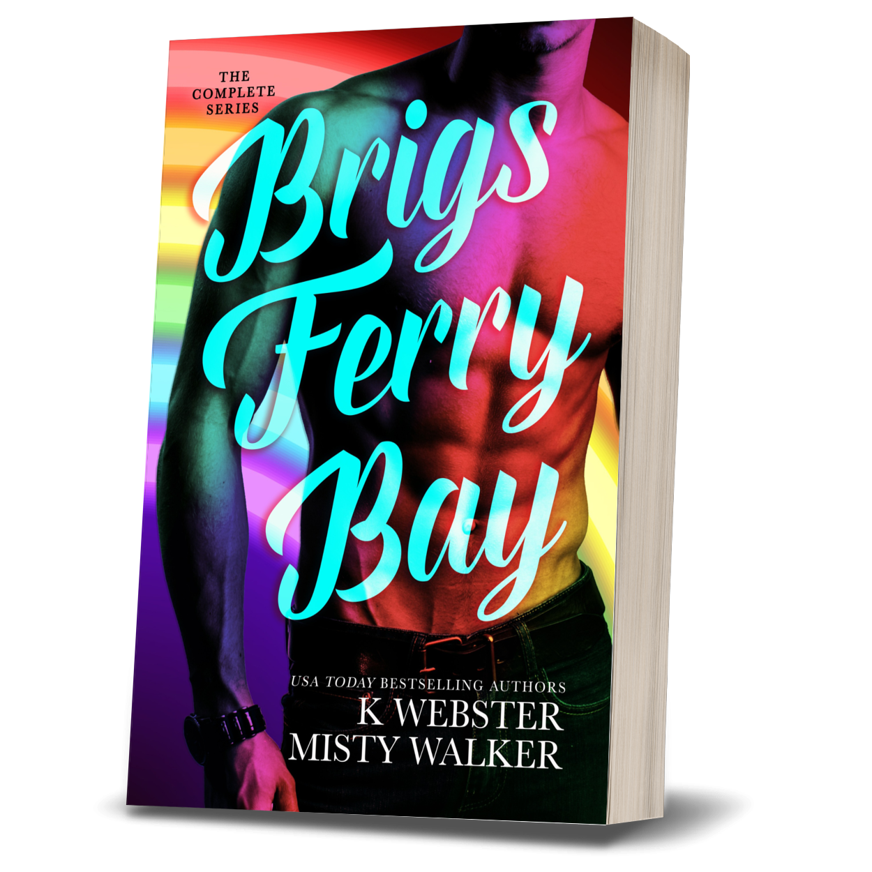 Brigs Ferry Bay Omnibus