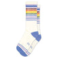 Vintage Rainbow repeat Gym Crew Socks